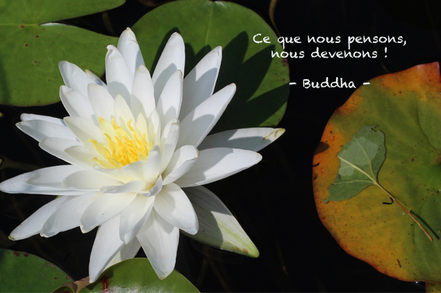ce que nous pensons nous devenons